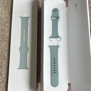 Apple Watch Band in Succulent